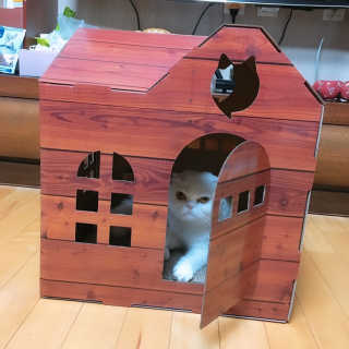 Dragonzoo님이 올린 리뷰 사진 2