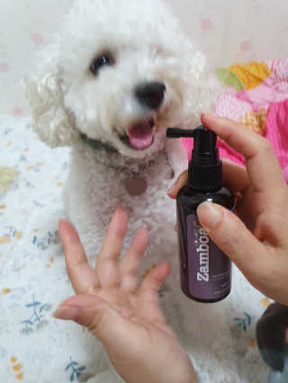 호두맘님이 올린 리뷰 사진 3