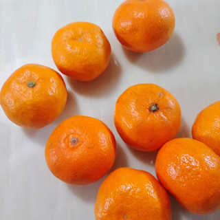 아보카도올리브님이 올린 리뷰 사진 1