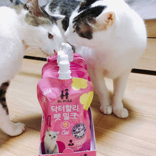 짤랑이님이 올린 리뷰 사진 2