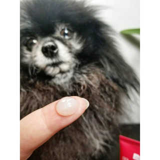Peepingpomeranian님이 올린 리뷰 사진 3