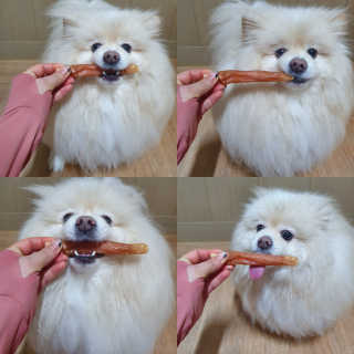 치리짱님이 올린 리뷰 사진 1
