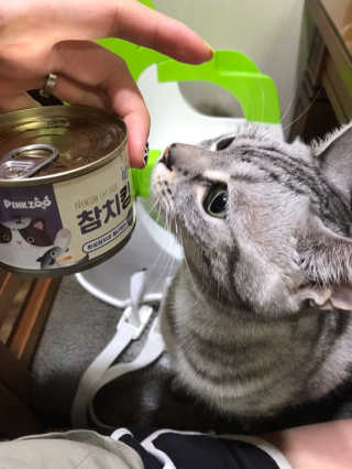 동몽이님이 올린 리뷰 사진 4