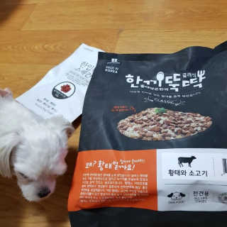 초밥님이 올린 리뷰 사진 1
