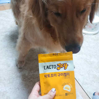 아보카도올리브님이 올린 리뷰 사진 2