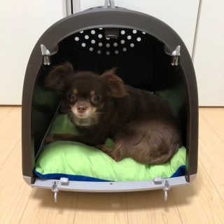 프리프리님이 올린 리뷰 사진 2