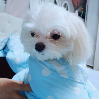 Ranny님이 올린 리뷰 사진 2