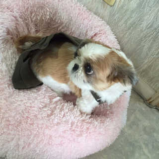 leeeeeeeorrri님이 올린 리뷰 사진 1