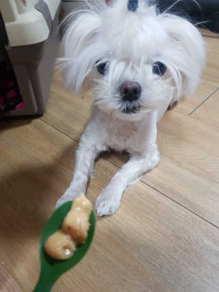 이다솜님이 올린 리뷰 사진 4