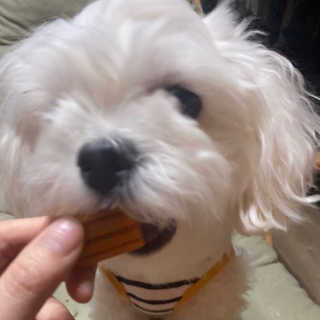 junny님이 올린 리뷰 사진 3