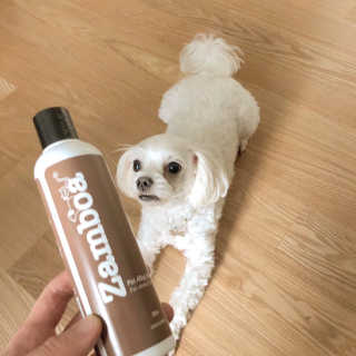 도미노님이 올린 리뷰 사진 1