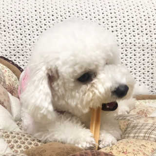 tjrdla님이 올린 리뷰 사진 3