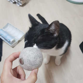 가브님이 올린 리뷰 사진 1