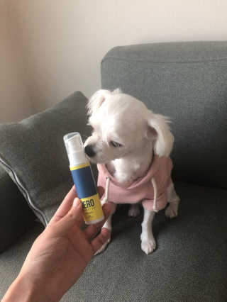 익쿠쨩님이 올린 리뷰 사진 1
