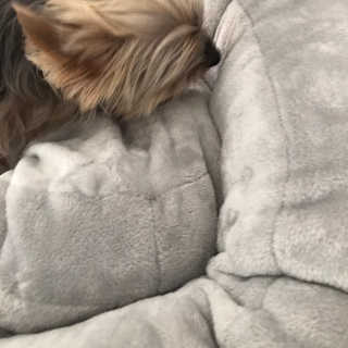 김라솔님이 올린 리뷰 사진 3