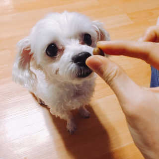 KimEunseo님이 올린 리뷰 사진 1