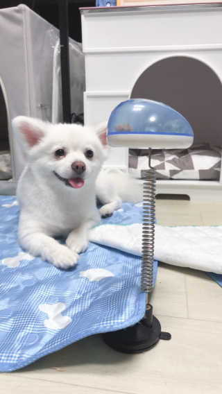 오들희님이 올린 리뷰 사진 3