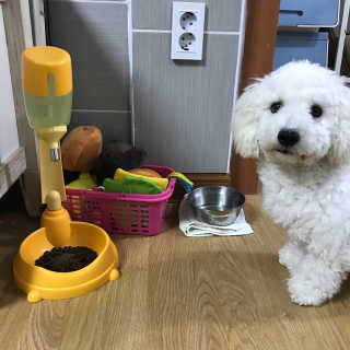 하루한첩 반려동물 한방영양제 장튼튼 7days — 4.17점을 준 리뷰어가 2018년 1월 올린 사용 사진