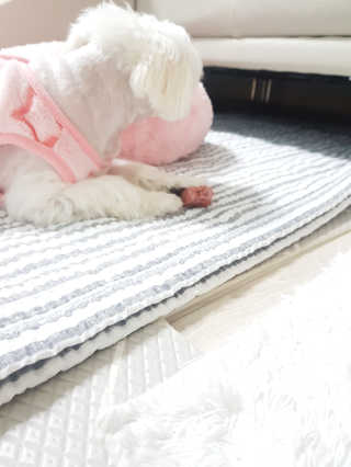 나란여자🤦‍♀️🤷‍♀️💁‍♀️님이 올린 리뷰 사진 2