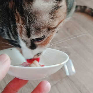 단비님이 올린 리뷰 사진 2