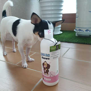 뽀로옹님이 올린 리뷰 사진 2