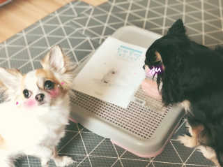 은쓸님이 올린 리뷰 사진 1