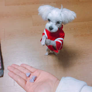 라리루리퐁퐁님이 올린 리뷰 사진 1