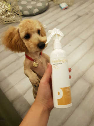 큐티윤님이 올린 리뷰 사진 1