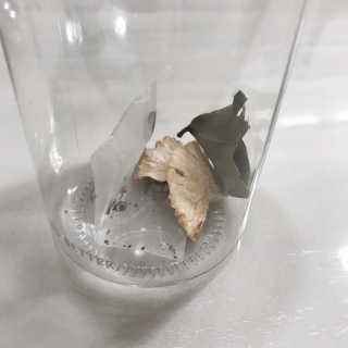 ssuejin님이 올린 리뷰 사진 3