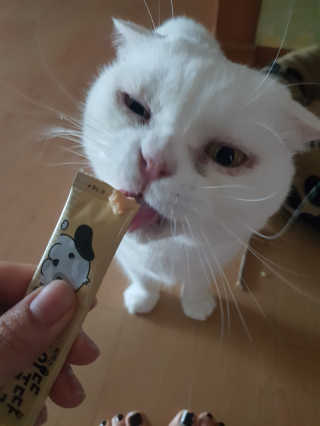 유앤미님이 올린 리뷰 사진 2