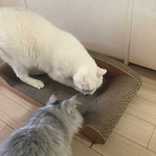 슬공주님이 올린 리뷰 사진 1