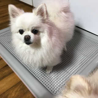 쭈니님이 올린 리뷰 사진 1