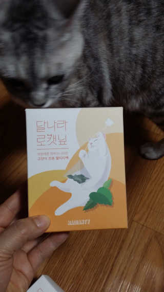 전은영님이 올린 리뷰 사진 1