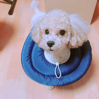 오민정님이 올린 리뷰 사진 1