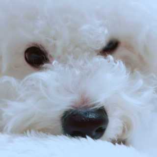 sezziChu님이 올린 리뷰 사진 3