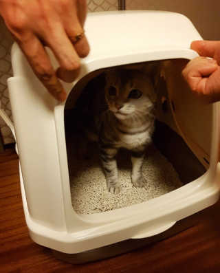 르방맘님이 올린 리뷰 사진 1