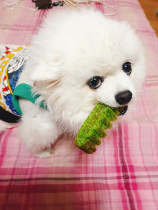 퀸민님이 올린 리뷰 사진 2