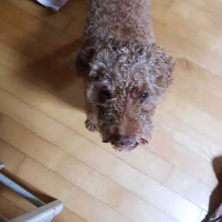 제이드님이 올린 리뷰 사진 3