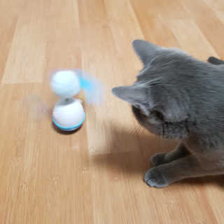 쿠로님이 올린 리뷰 사진 4