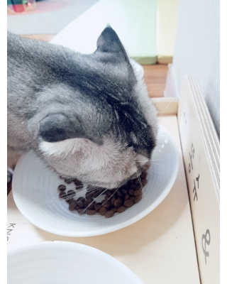 으하하하하님이 올린 리뷰 사진 3