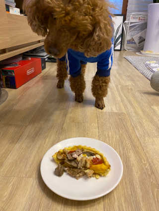 짱아둥이님이 올린 리뷰 사진 2