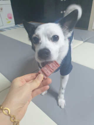 복실이님이 올린 리뷰 사진 2