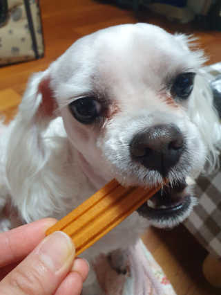 페티앙님이 올린 리뷰 사진 4