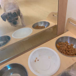 향이님이 올린 리뷰 사진 2