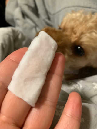 슬비님이 올린 리뷰 사진 3