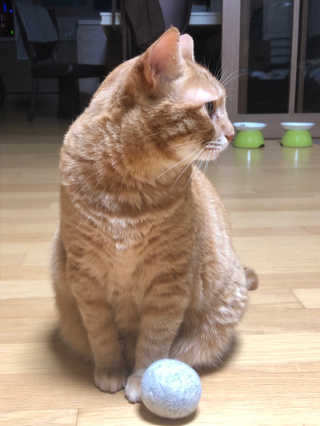 소세연님이 올린 리뷰 사진 2