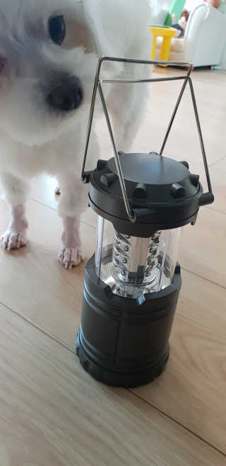 고롸고롸고롸님이 올린 리뷰 사진 3