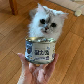 다조이님이 올린 리뷰 사진 1