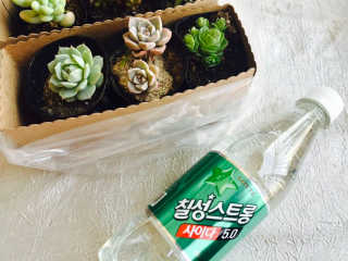 노뽕이님이 올린 리뷰 사진 1