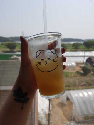 마뇨님이 올린 리뷰 사진 4